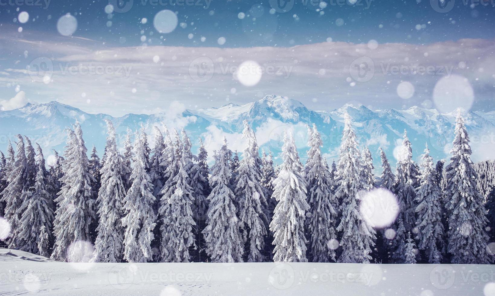 Mysterious winter landscape majestic mountains in . Magica photo