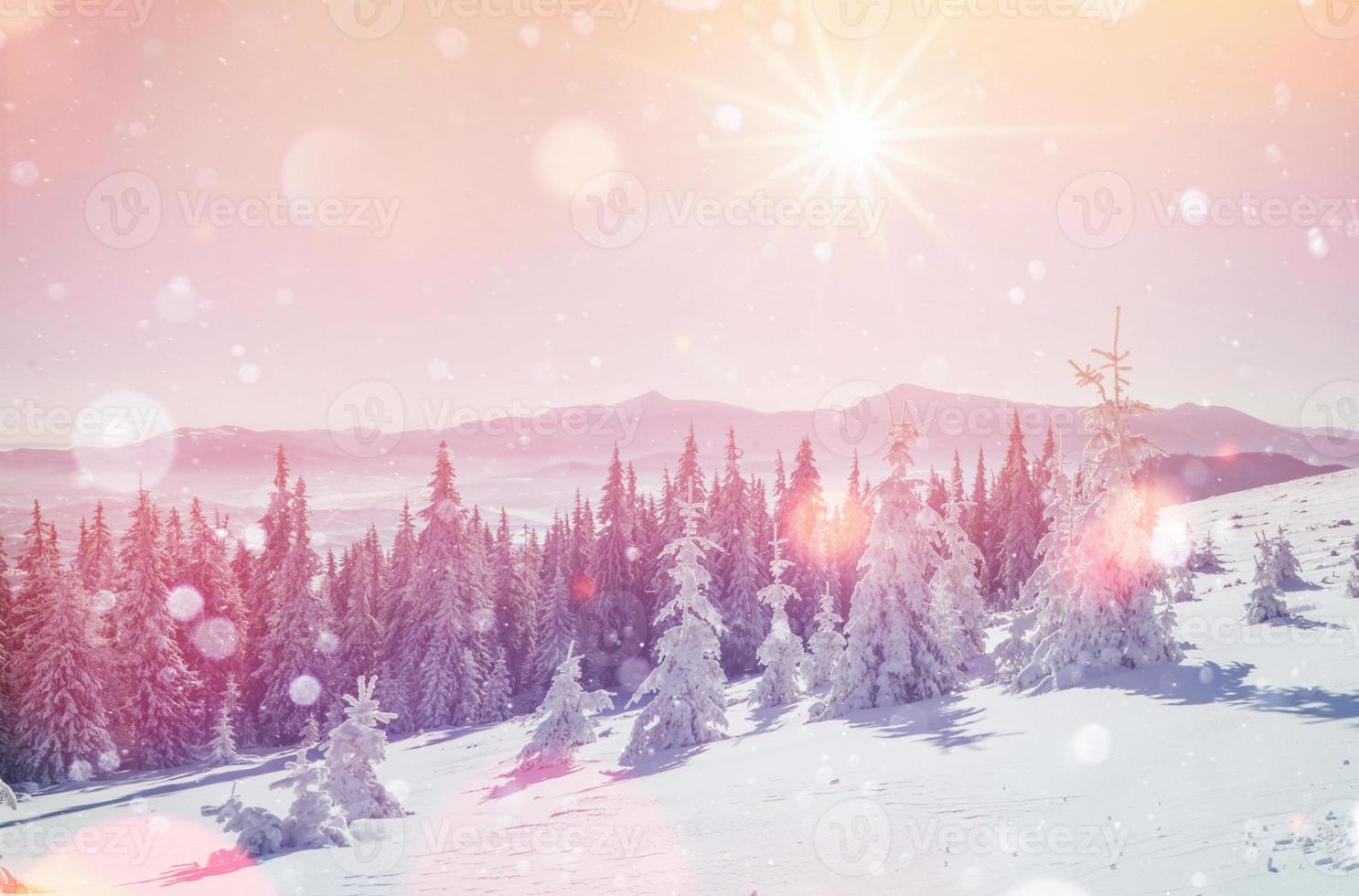 magical winter landscape, background with some soft highlights a photo