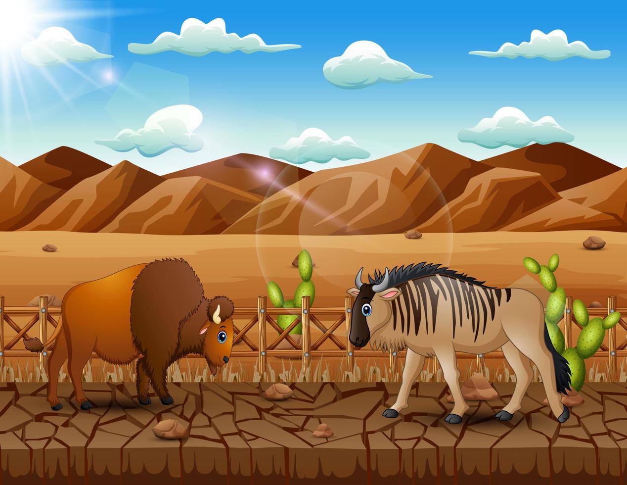 Cartoon a bison and wildebeest in the dry land landscape vector