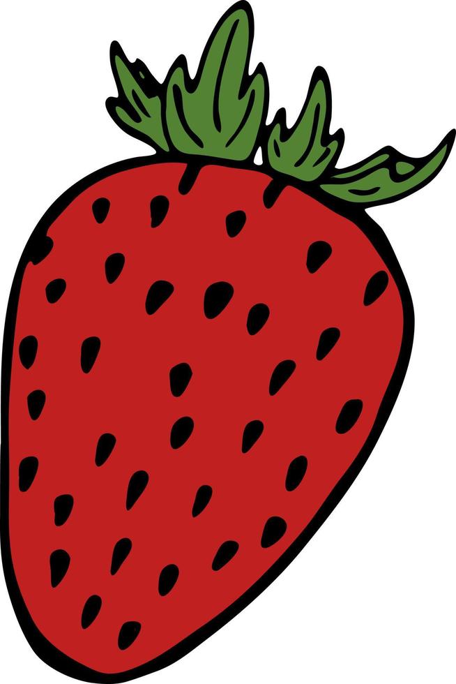 Handdrawn illustration with fruit strawberry, vector illustration