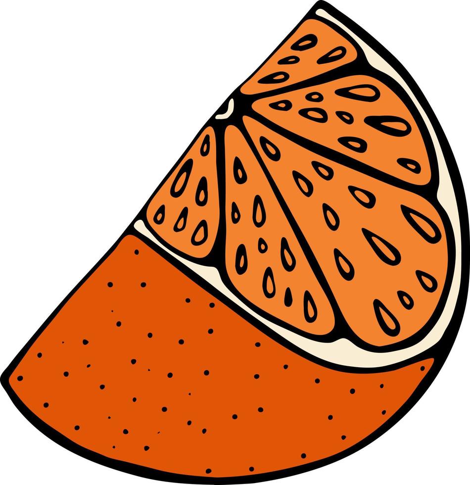 Handdrawn illustration with fruit orange, vector illustration