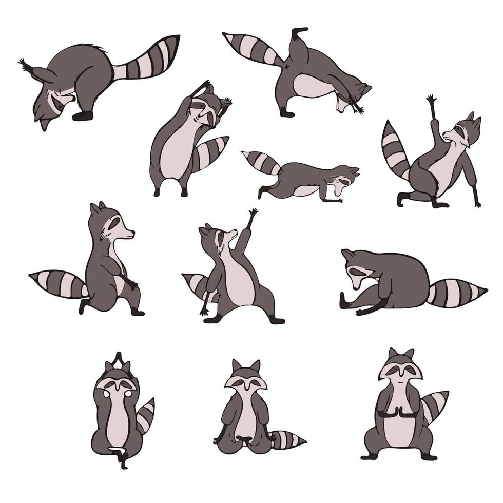 Hand drawn collections with raccoon do yoga. Asana set. Cute wildlife animal character do fitness. Isolated vector design.