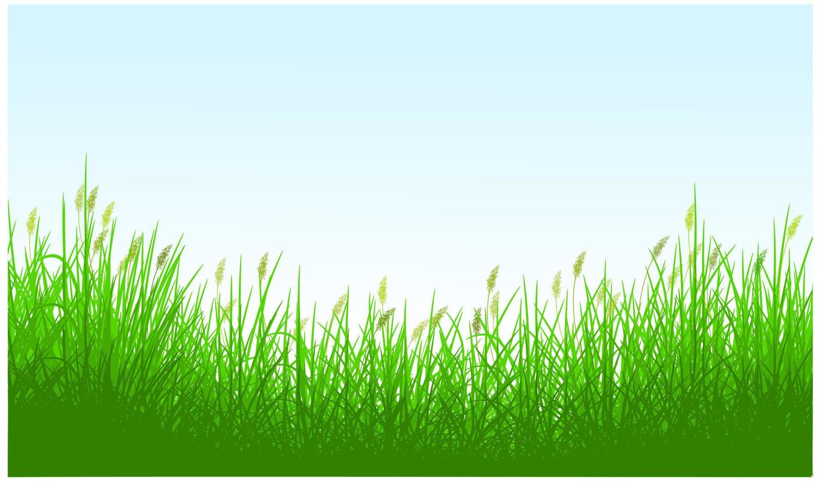 realistic reeds grass silhouette background vector pro