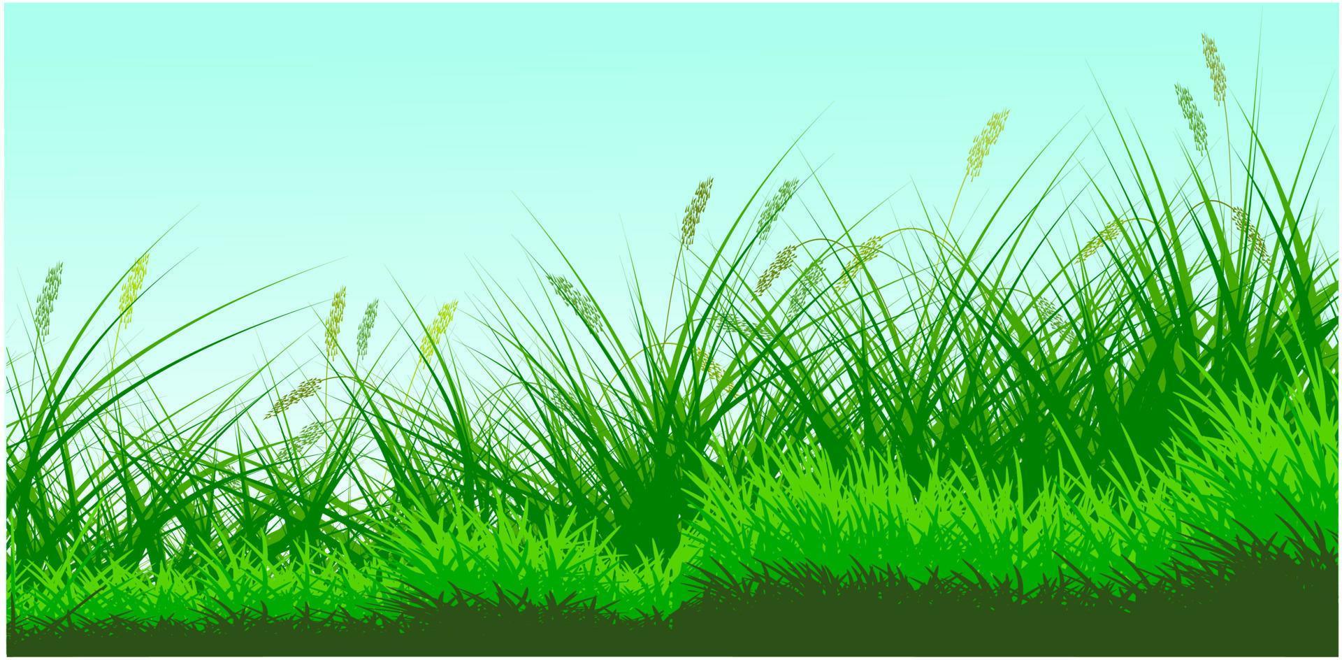 green reeds grass background vector free