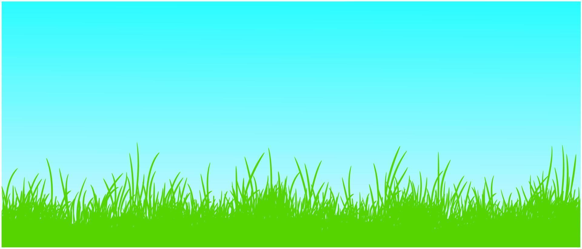 grass and sky, grass edge, grassland background vector