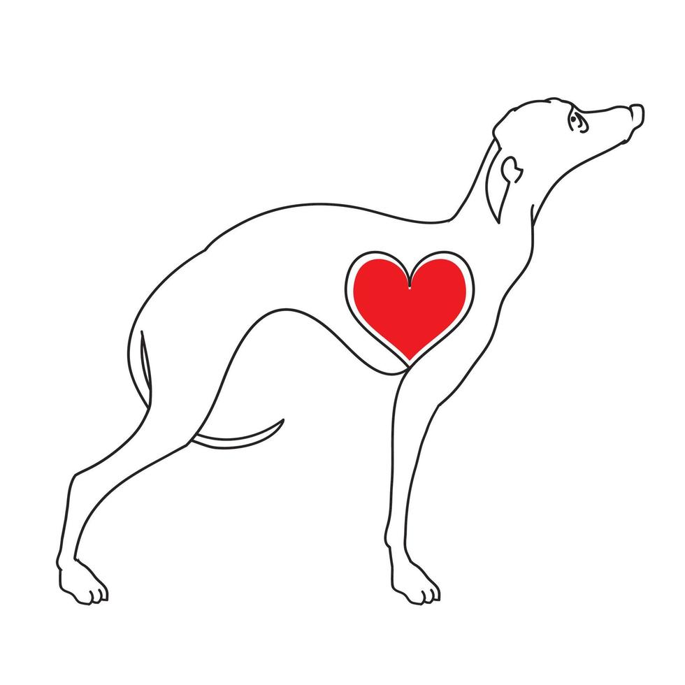 Greyhound. Original linear image of a dog with hearts. vector