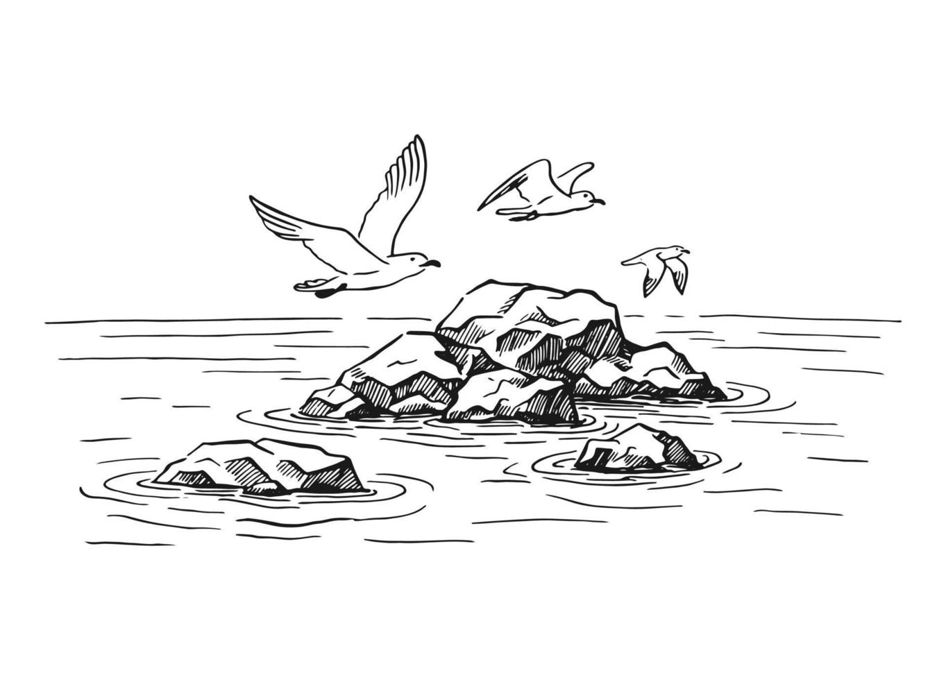 Landscape, sea, rocks, seagulls. Hand drawn illustration vector