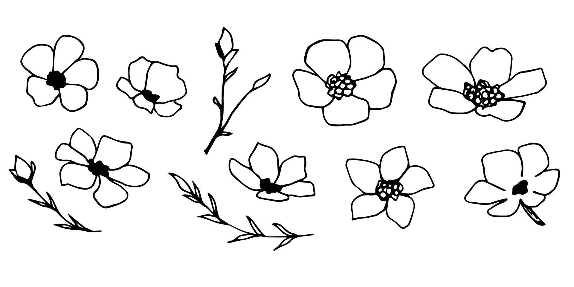 Hand-drawn black outline vector floral set. Simple flowers, different shapes, petals, twigs. Elements of nature to create a pattern, sticker, print, label, logo. Spring summer season.