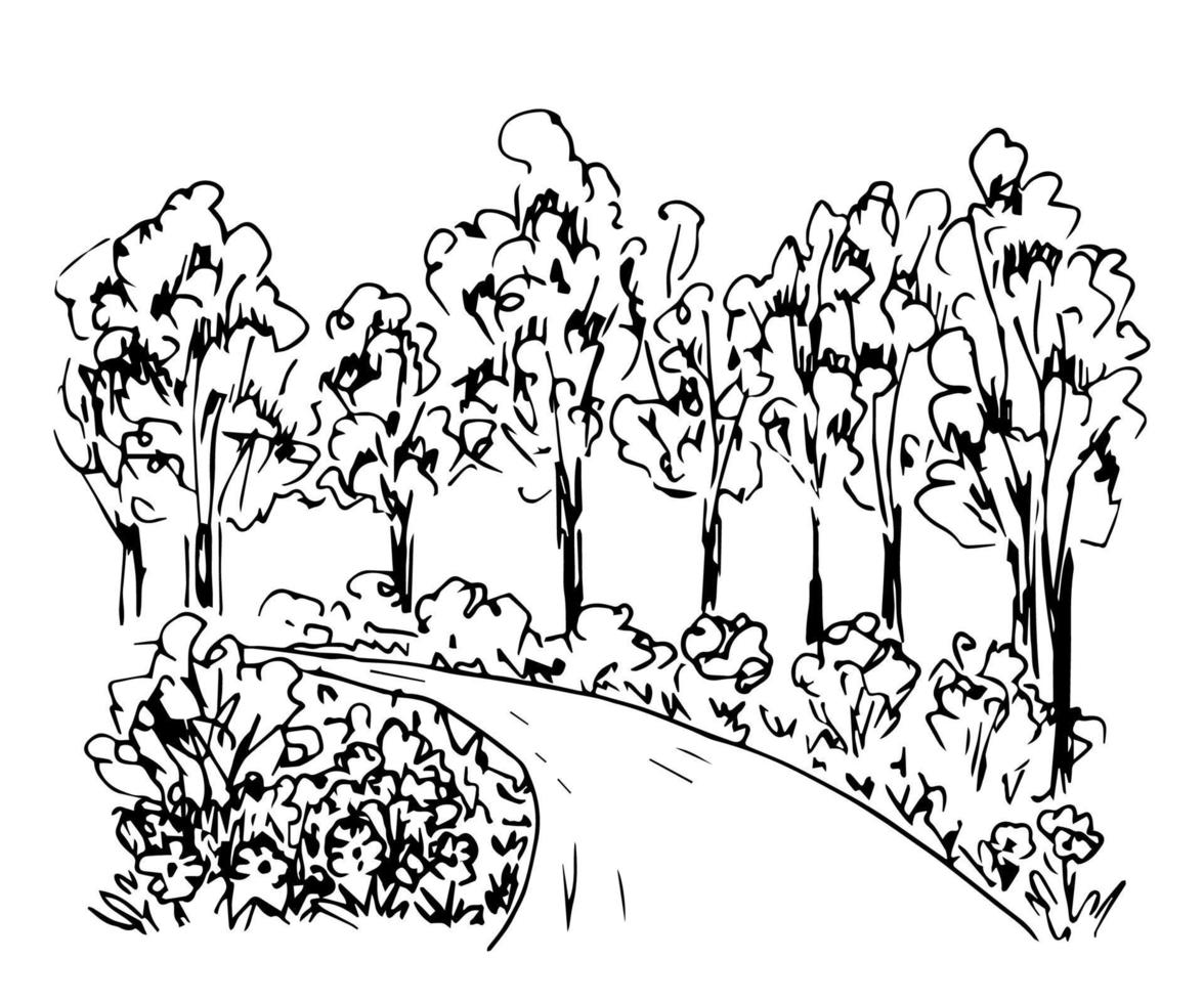 Hand-drawn simple vector sketch with black outline. Suburban landscape, rural road, grass and flowers in the foreground, bushes, trees, alley. Walk in the park, path.