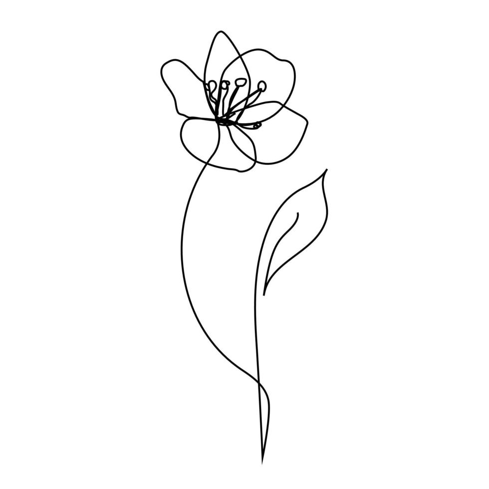 Continuous line Decorative tulip flower, design element. Can be used for cards, invitations, banners, posters, print design. Floral background in line art style vector