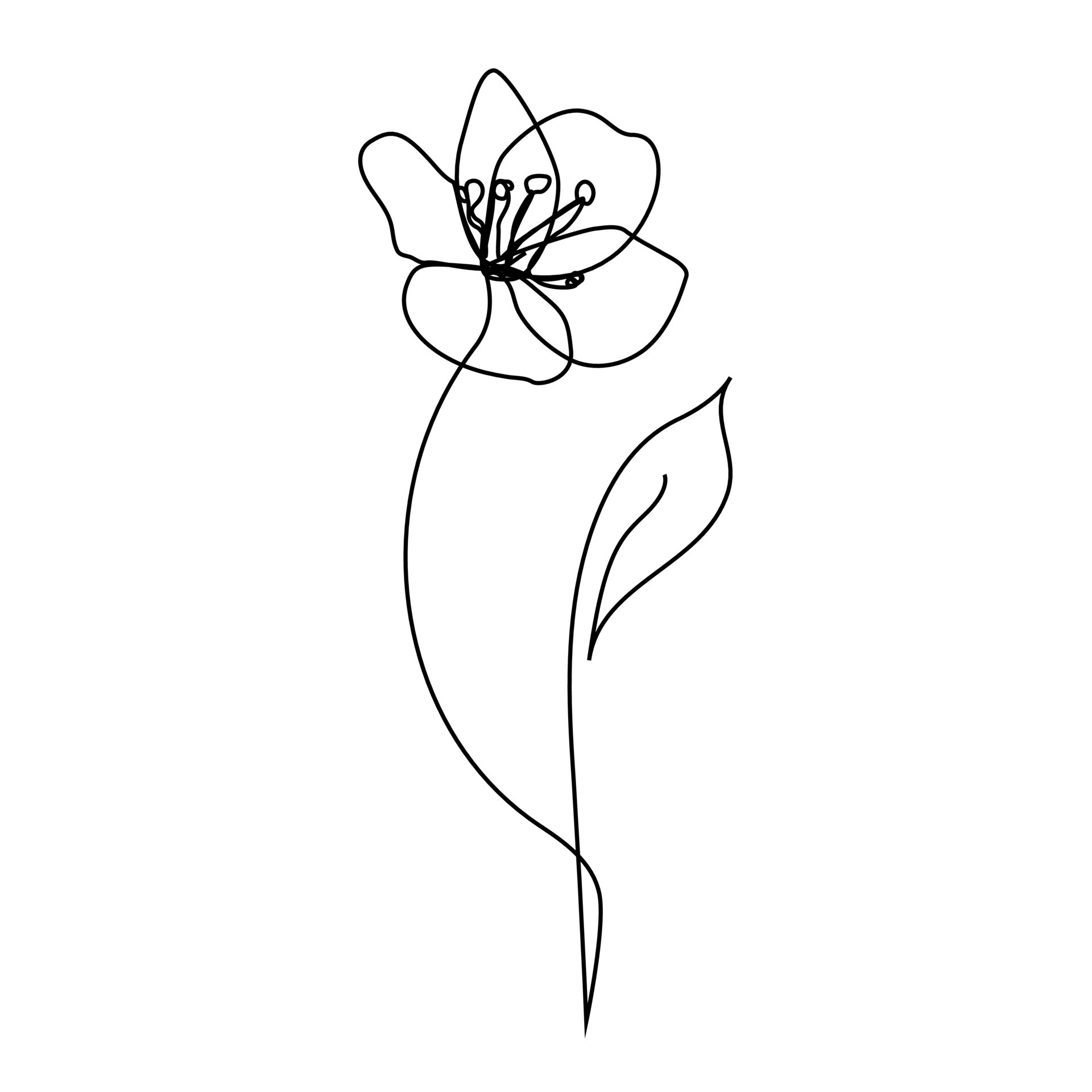 Continuous line Decorative tulip flower, design element. Can be used ...