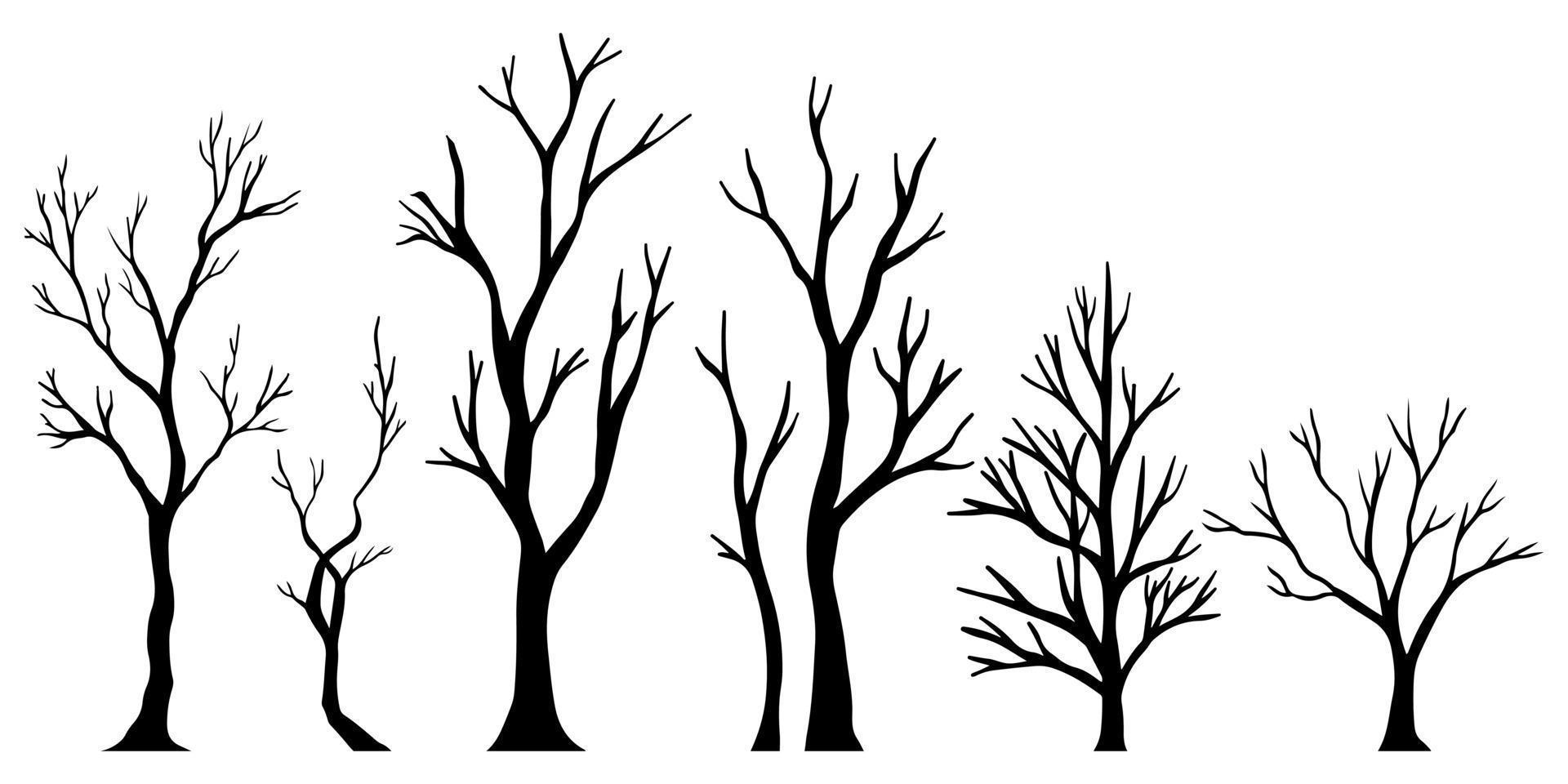 set of hand drawn vector doodle Naked trees silhouettes sketch illustrations. vector illustration.