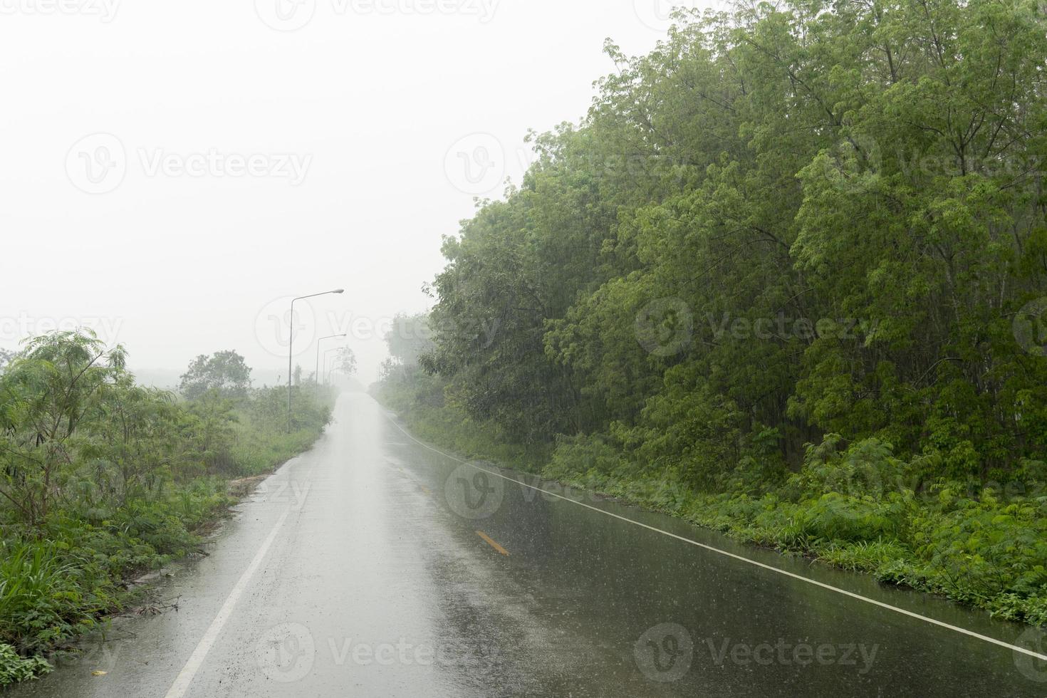 Road ahead of the wet asphalt road. During the rainy season. Along the way are rubber plantations and lush grasses. under the dark sky in Thailand. photo