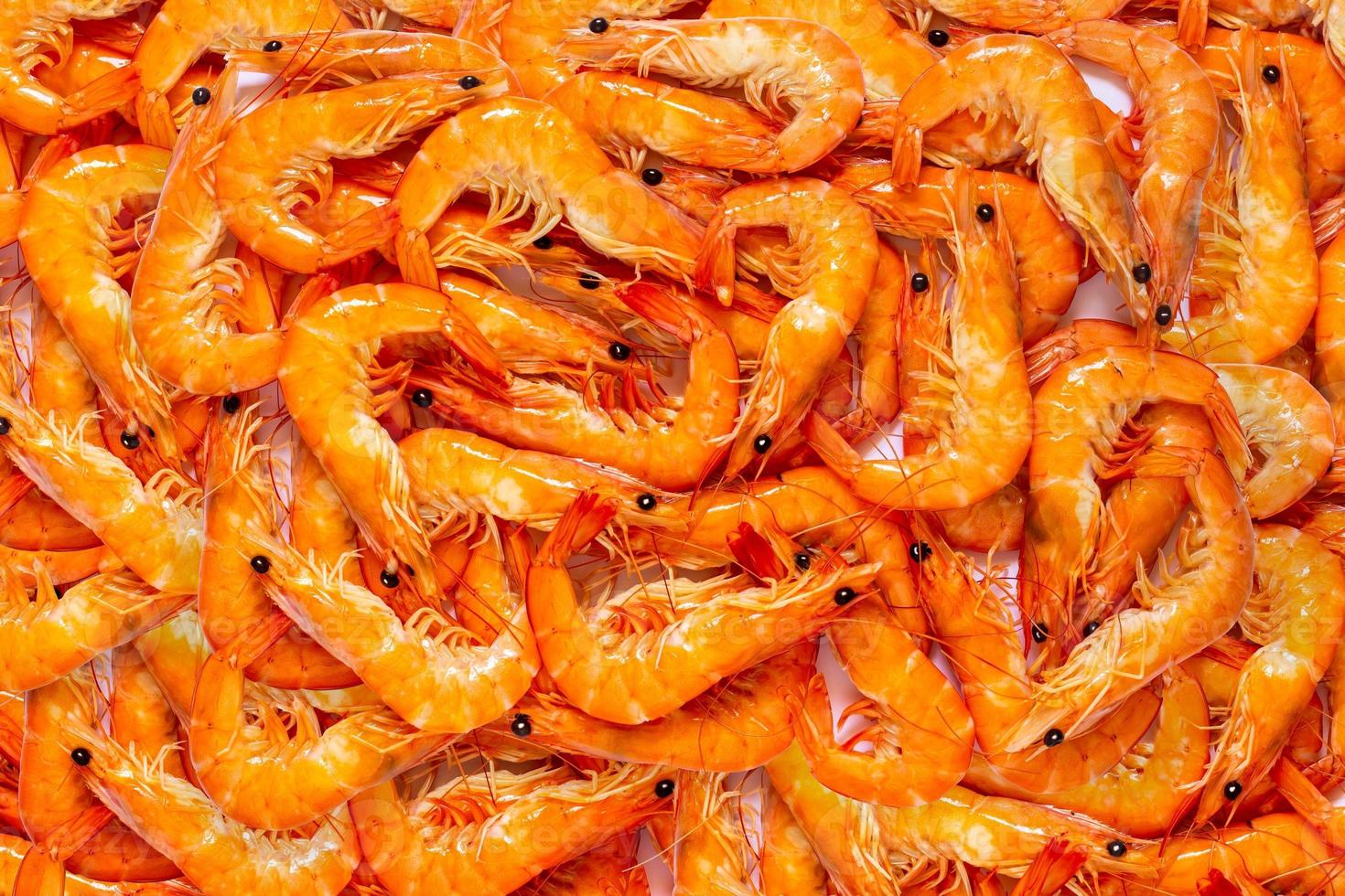Top view of shrimp on white background. photo