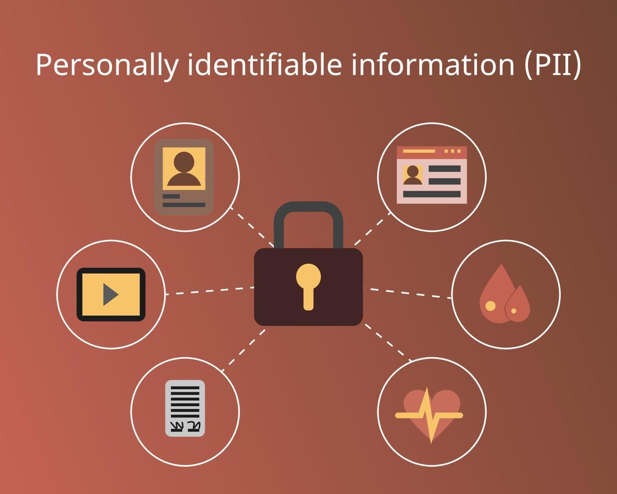 security of Personally identifiable information or PII vector