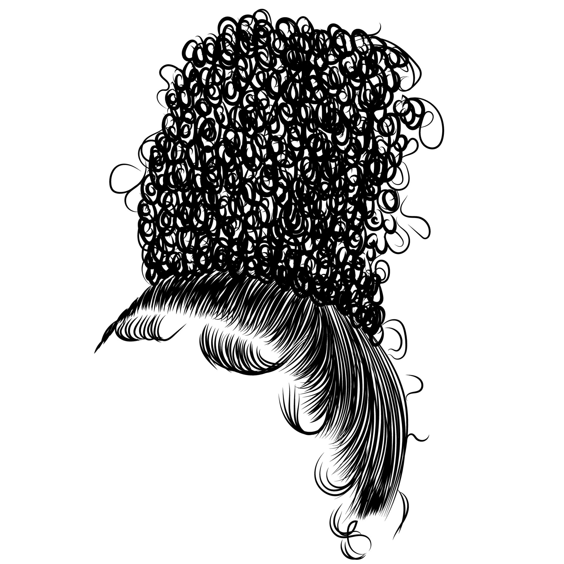 Hand drawn curly hairstyle- hair bun of a beautiful girl and baby hairs  6640766 Vector Art at Vecteezy