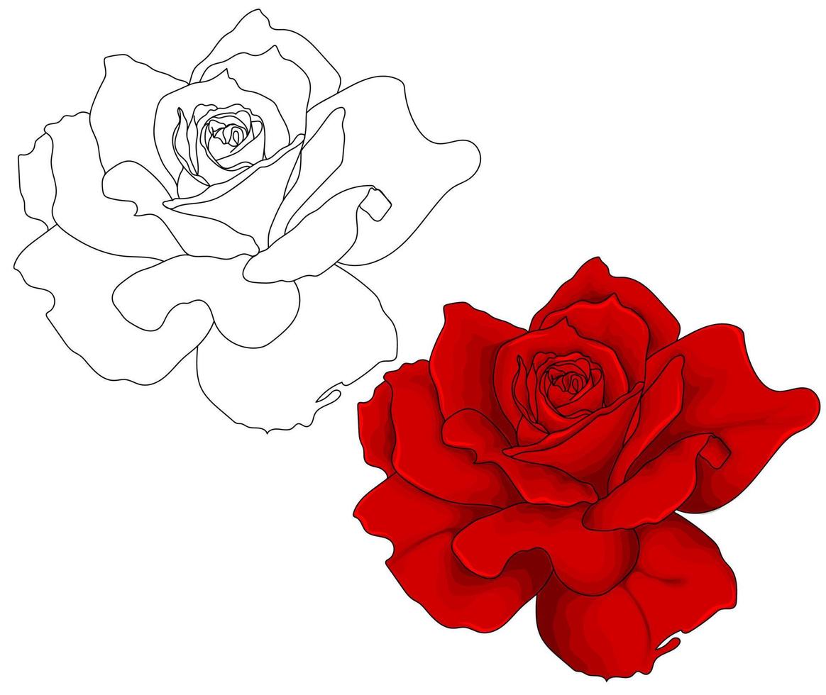 rosa roja dibujada a mano con contorno. vector