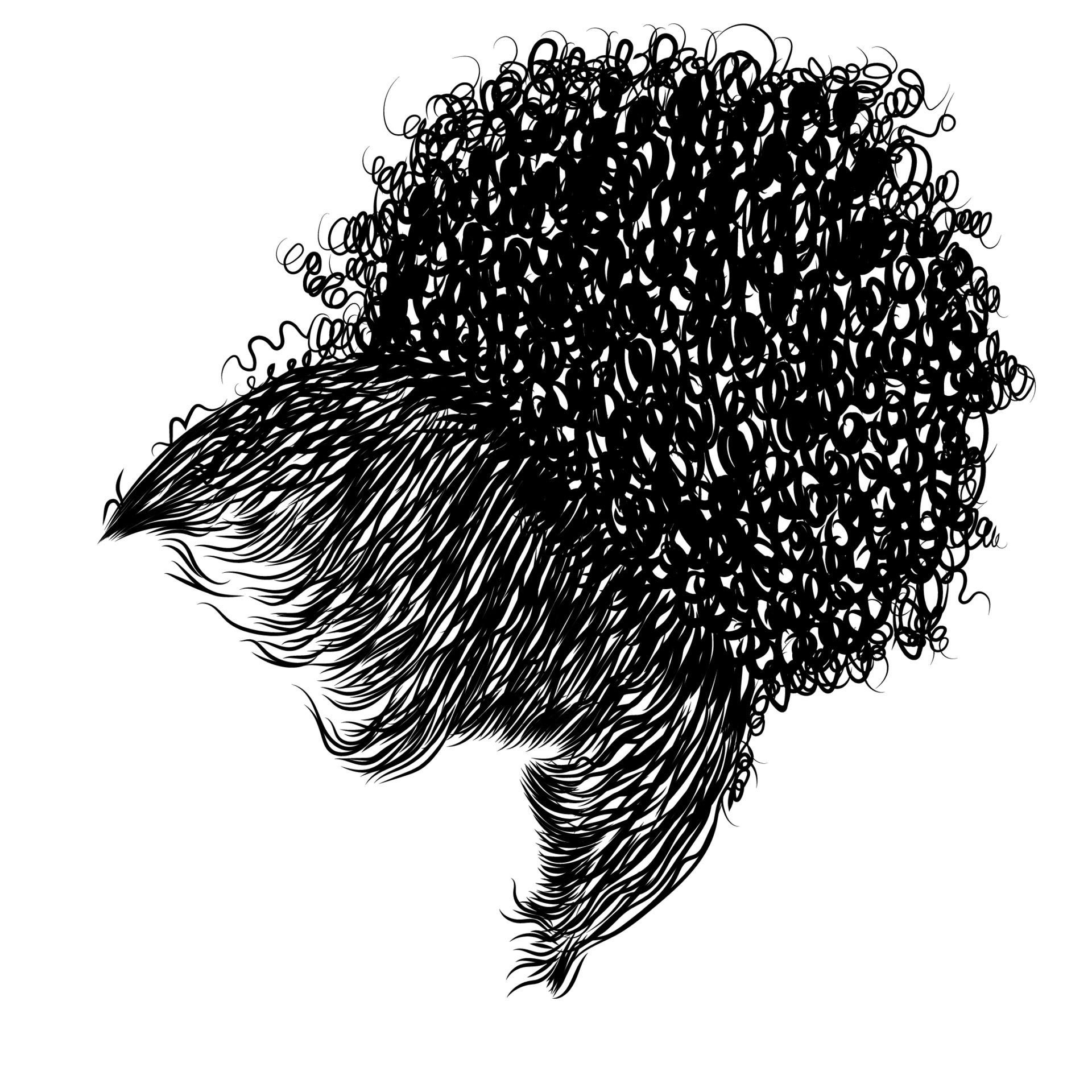 African Woman Hair Vector Art, Icons, and Graphics for Free Download