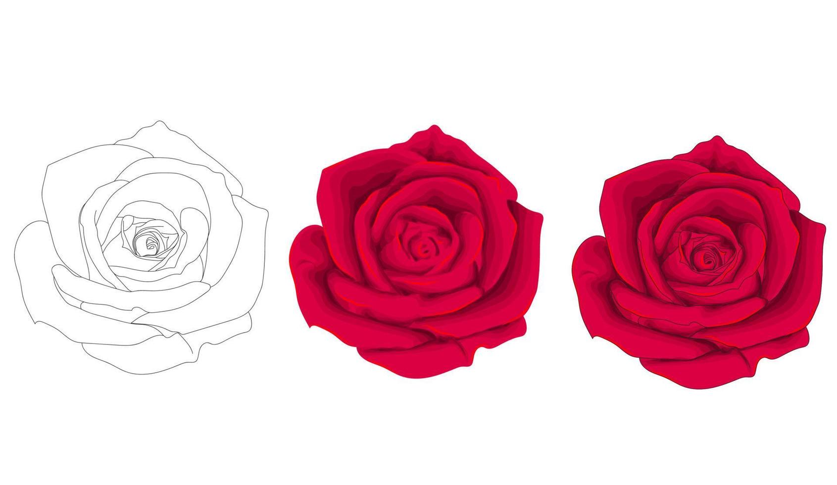 dulces rosas rojas. ilustración vectorial vector