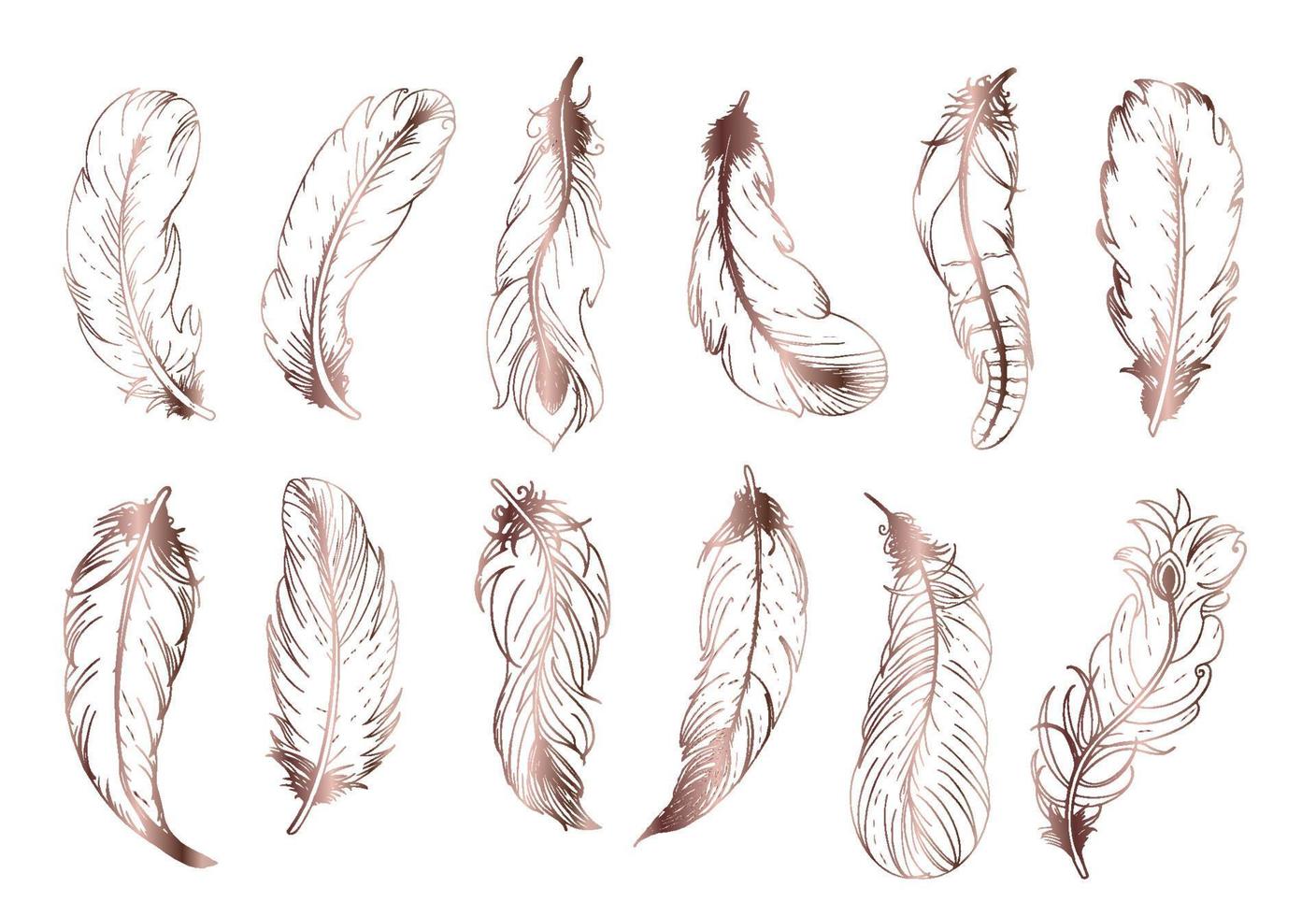 Hand drawn vintage feathers set. Vector illustration.