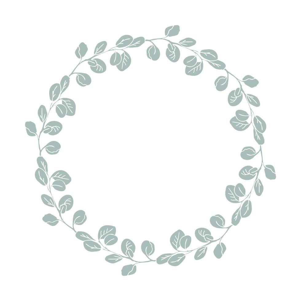 Eucalyptus leaves hand drawn vector