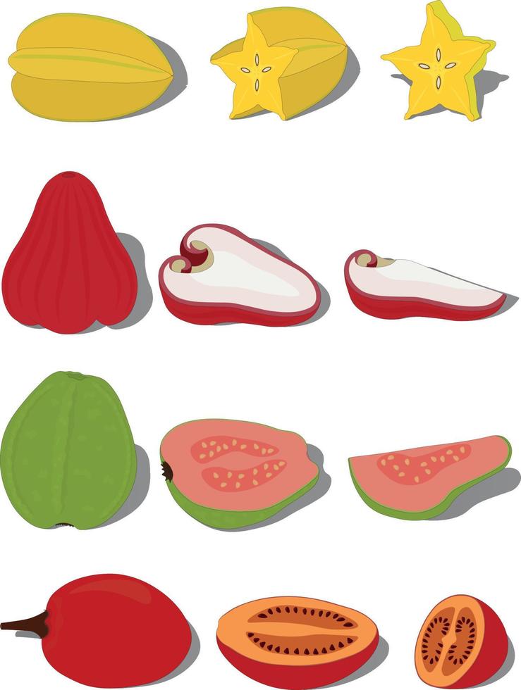 Whole exotic tropical fruits with pieces and slices vector illustration