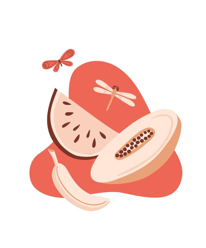 ilustración vectorial de verano con melón, papaya, sandía, plátano y libélula. para impresión, póster y tarjeta. vector