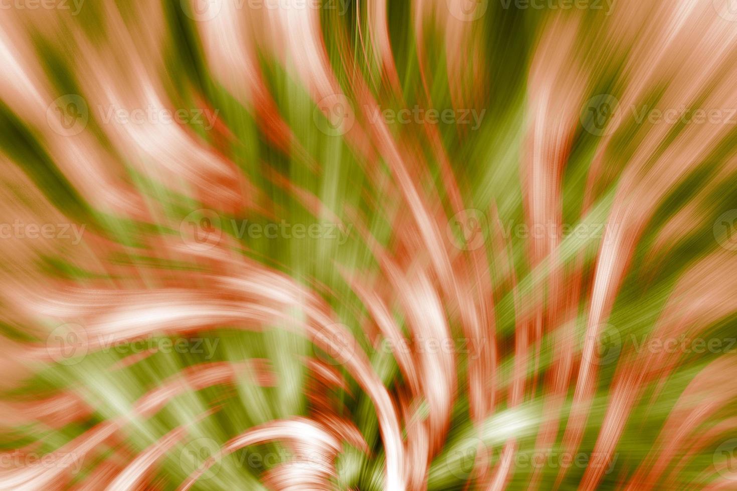 ilustración de fondo de patrón abstracto swirly foto