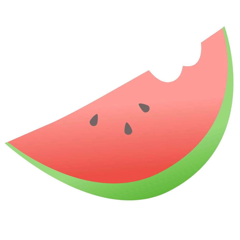 Fresh water melon. vector
