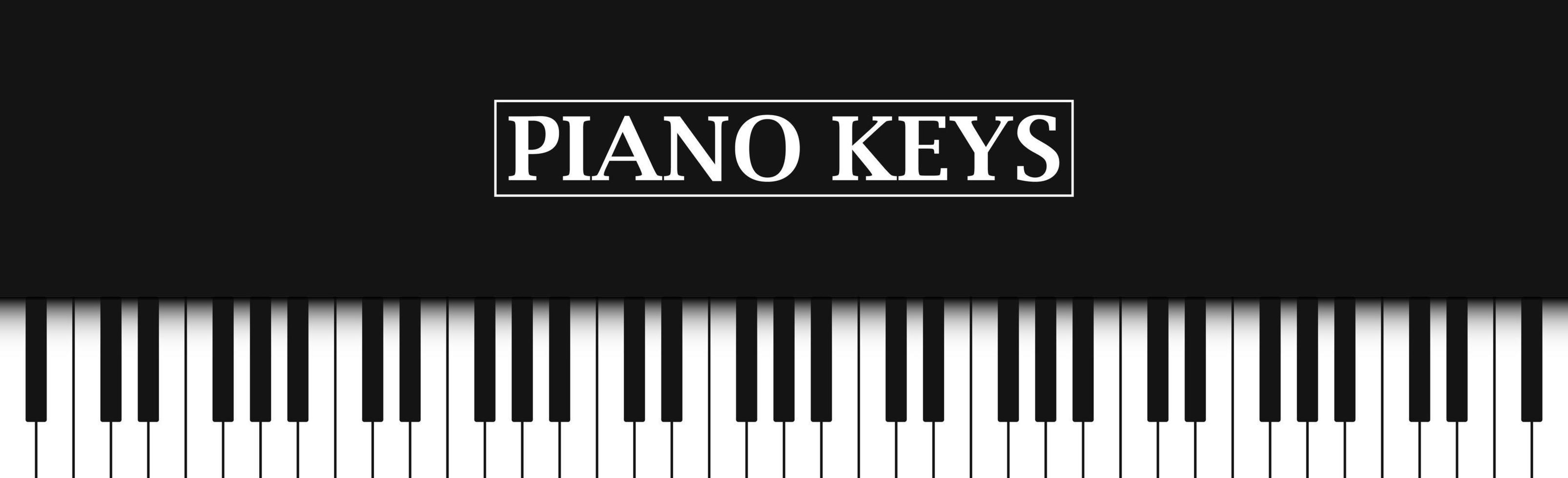 fondo negro realista teclas de piano en blanco y negro - vector
