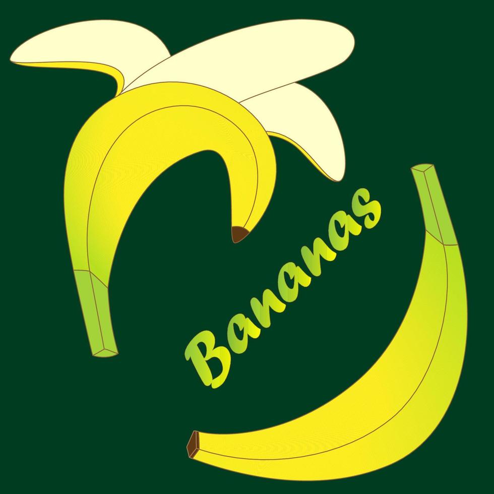 Vector set of cartoon yellow bananas. Unripe banana and peeled banana on a dark green background. Vector illustration for farmers market, mobile app icon, etc.