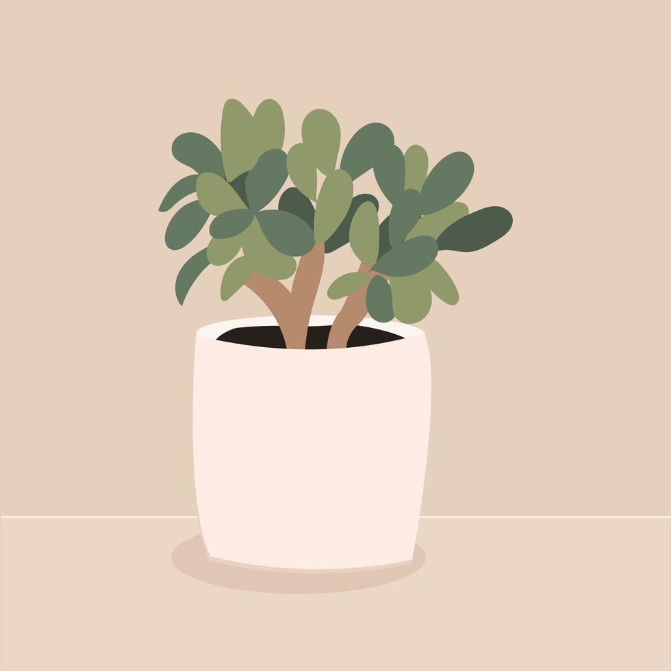 crassula ovalada, una planta de interior en una olla de barro. decoración del hogar verde natural. una planta de interior en una maceta. decoración interior de la oficina. ilustración vectorial plana aislada sobre fondo beige vector