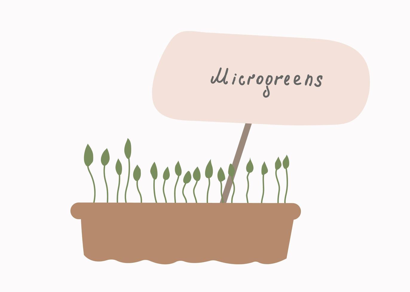 Micro-greens . The concept of healthy eating. Growing superfoods at home. Vector flat illustration.