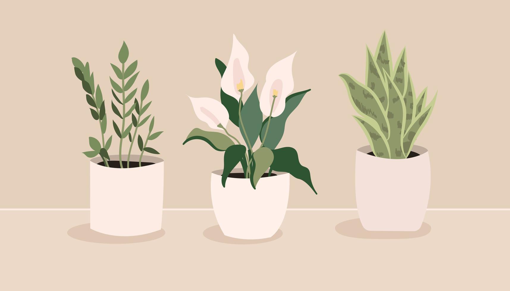 conjunto de ilustraciones vectoriales dibujadas a mano con plantas de interior para el hogar, en fundamento beige vector