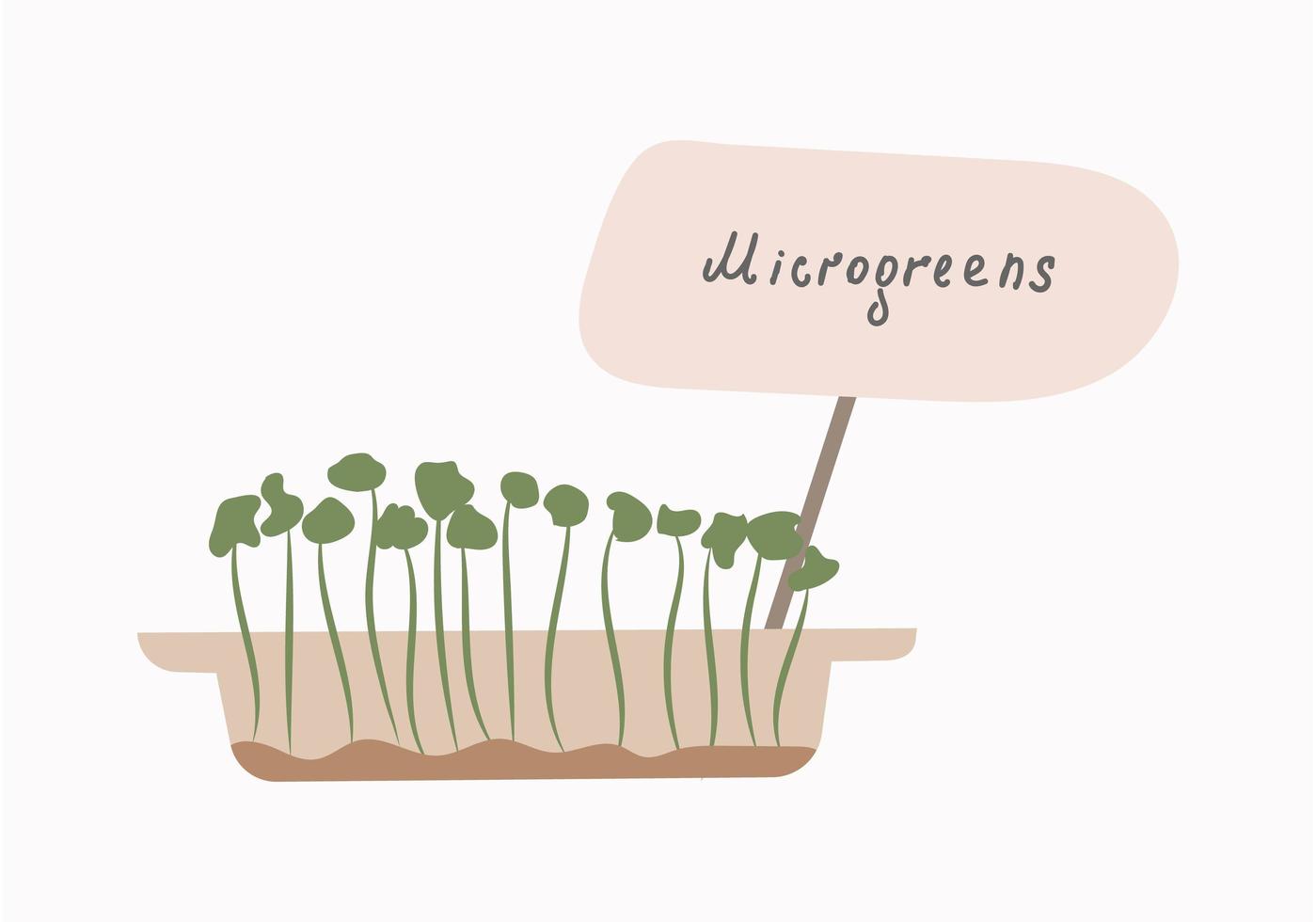 micro-verduras. el concepto de alimentación saludable. cultivar superalimentos en casa. ilustración plana vectorial. vector