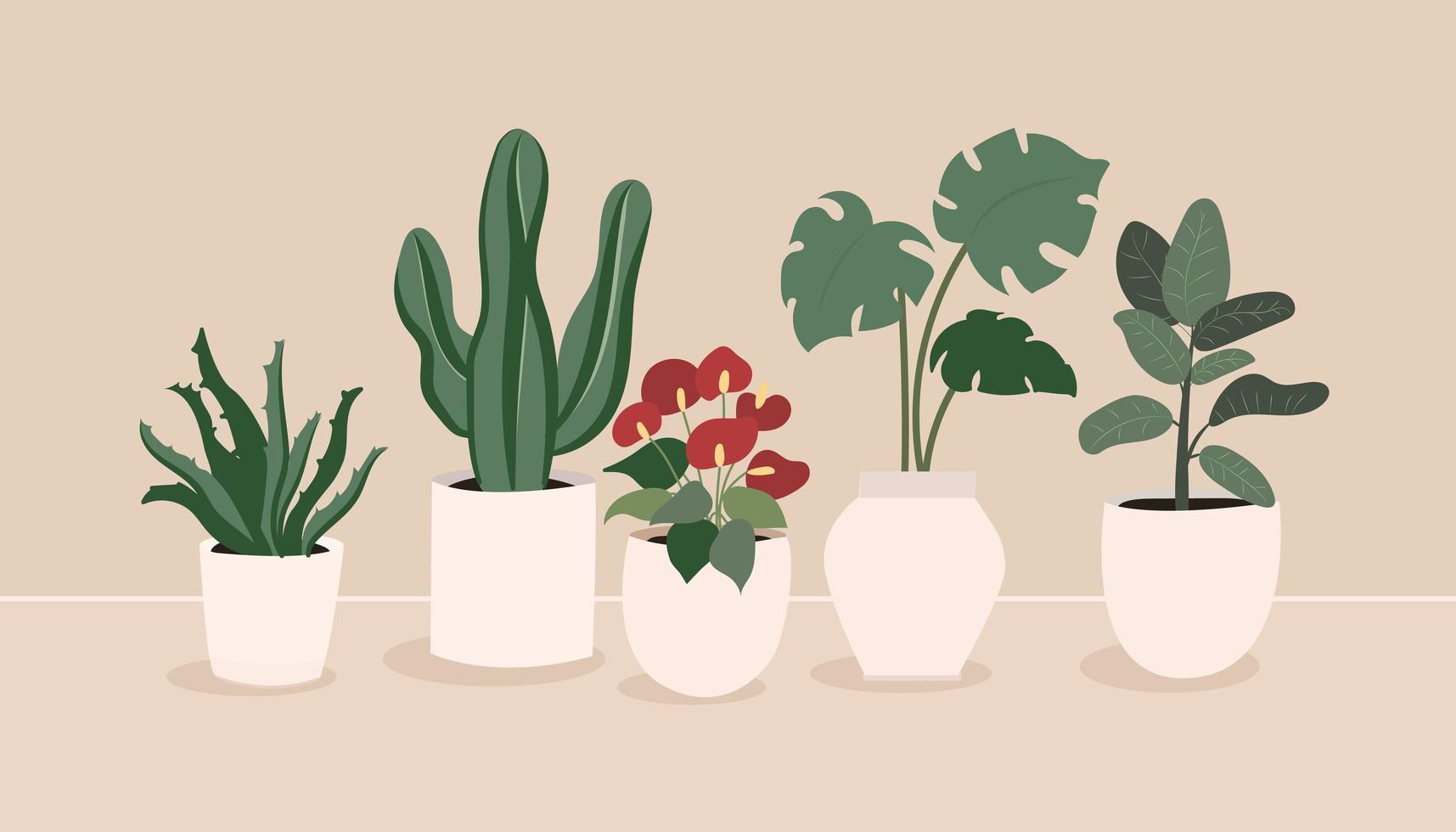 conjunto de ilustraciones vectoriales dibujadas a mano con plantas de interior para el hogar, en fundamento beige vector