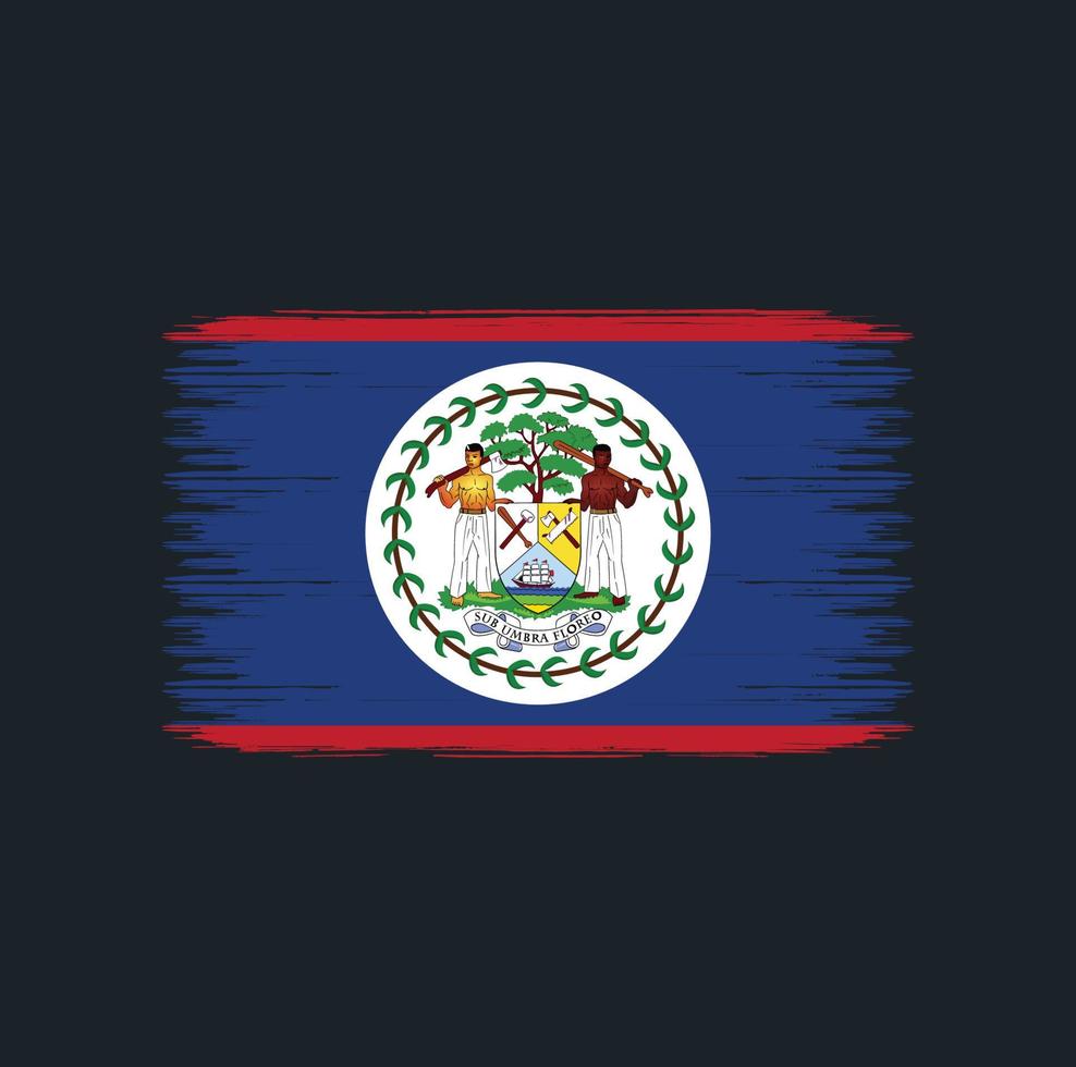 trazos de pincel de bandera de belice. bandera nacional vector