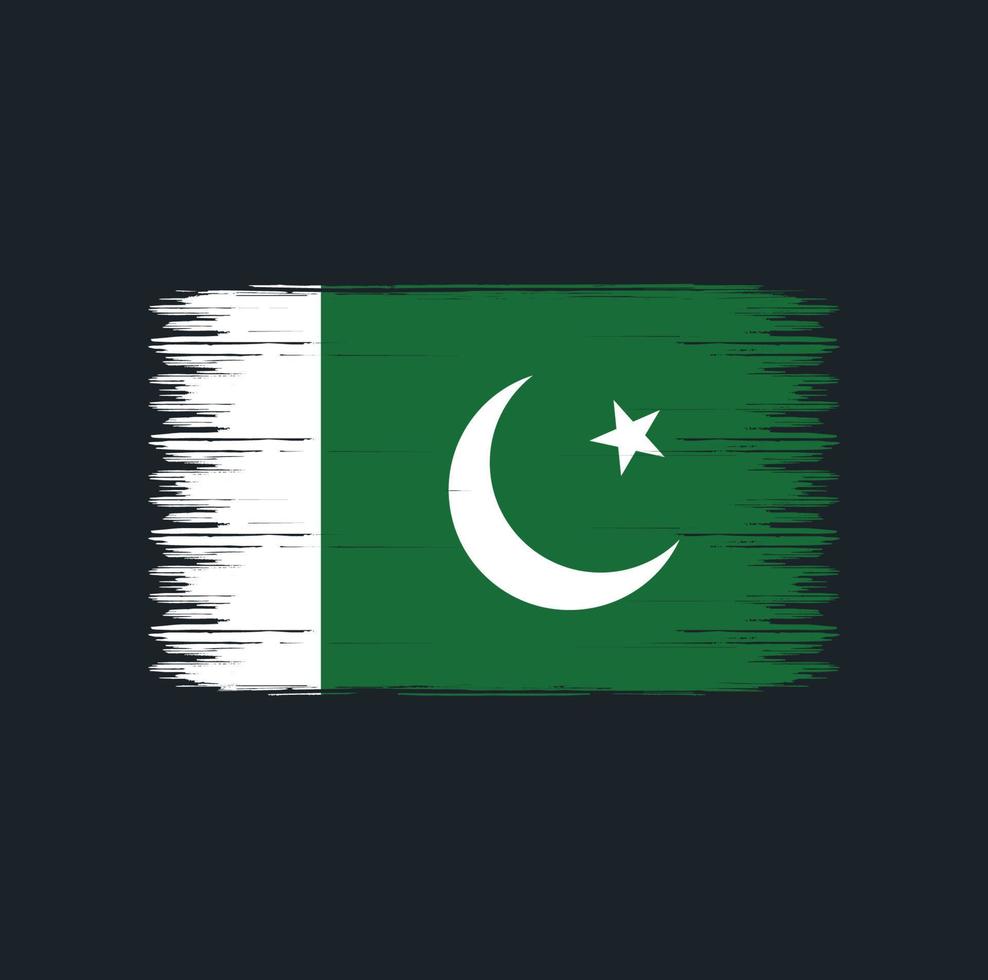 trazos de pincel de bandera de pakistán. bandera nacional vector