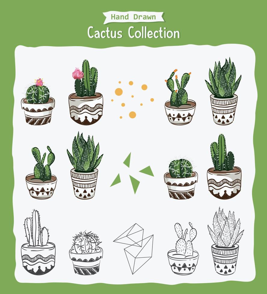 Collection of cactus plant vector with hand drawing style