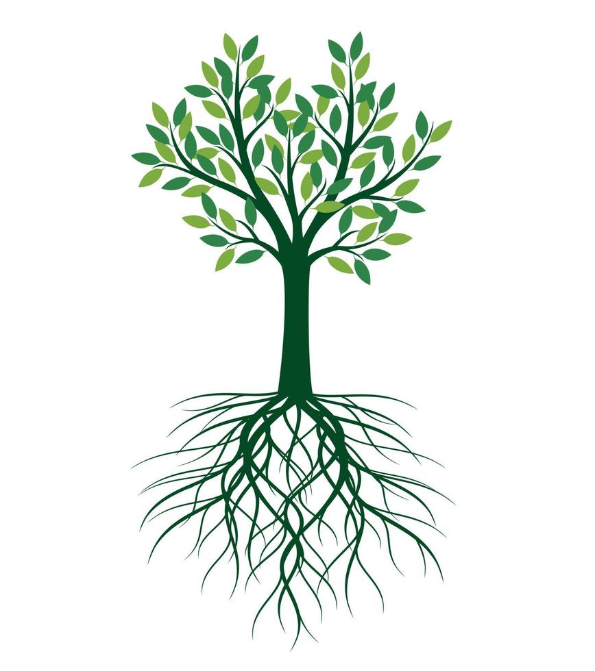 Green Tree. Vector Illustration.