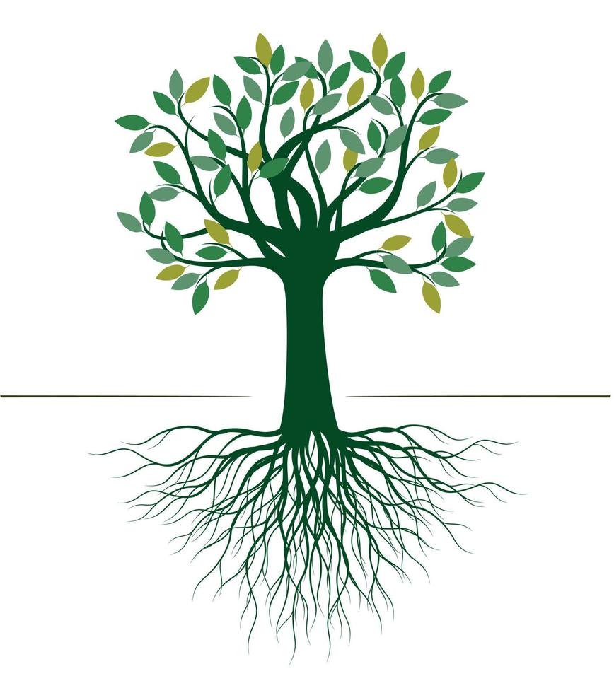 Green Tree with Roots. Vector Illustration.