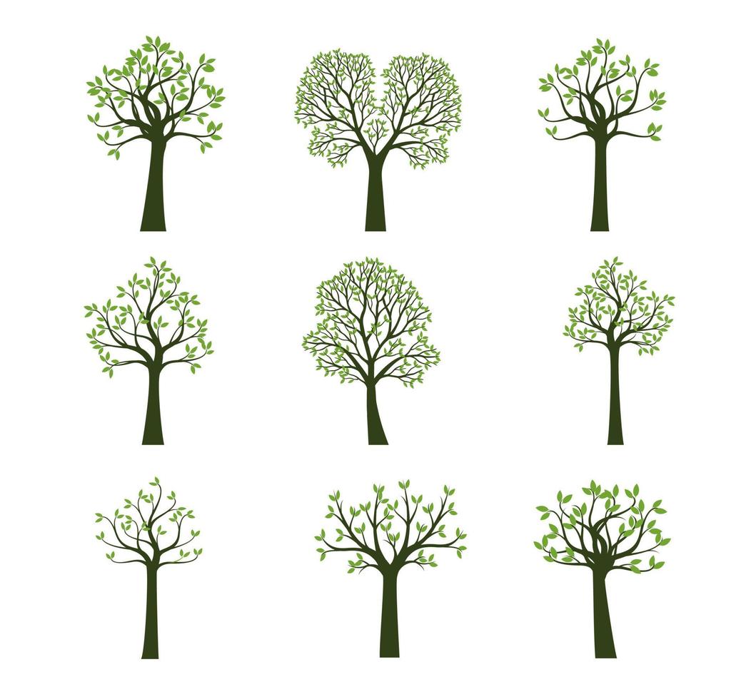 establecer árboles verdes. ilustración vectorial vector
