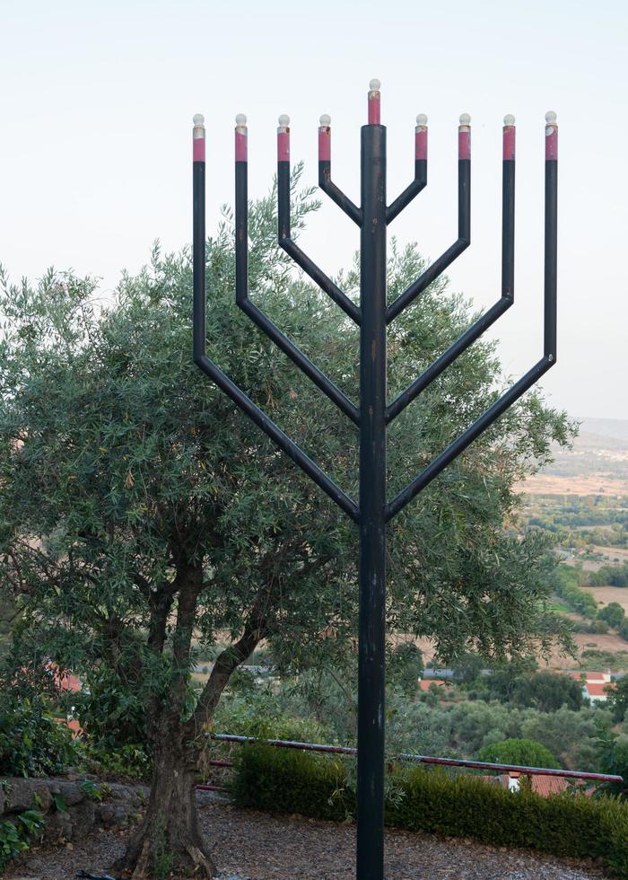 patio trasero de la sinagoga de bet eliau, en belmonte, portugal. hermosa menarah y olivo milenario. foto