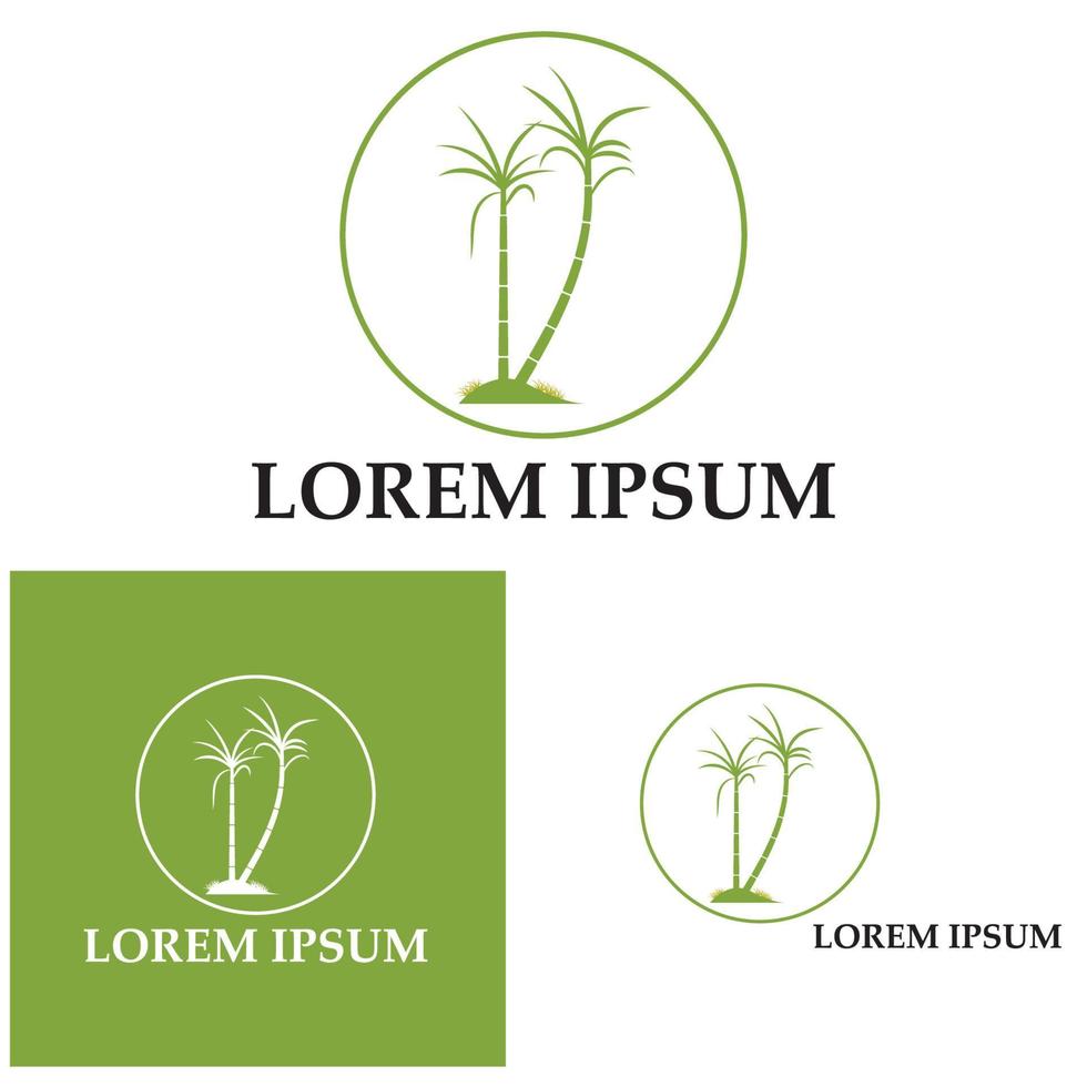 Sugar cane plant logo vector illustration design