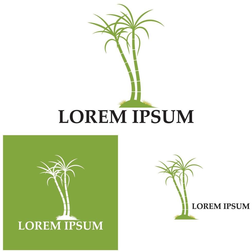 Sugar cane plant logo vector illustration design