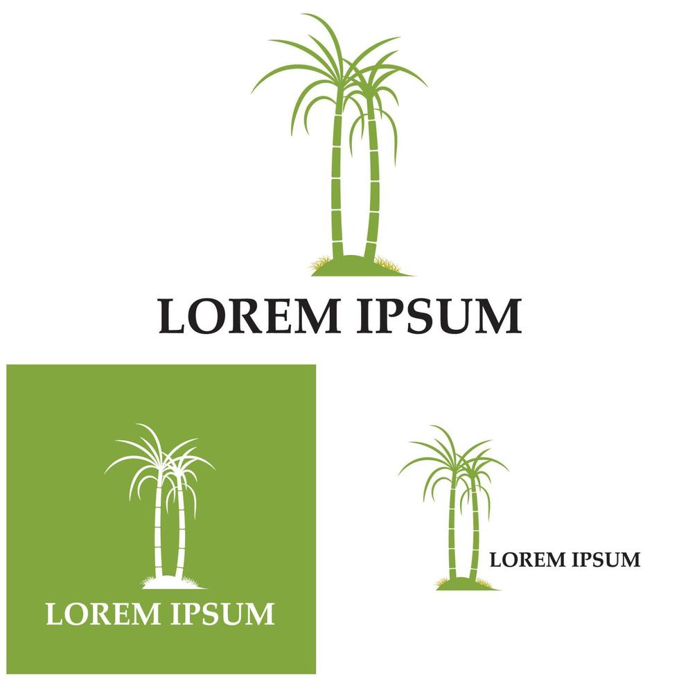 Sugar cane plant logo vector illustration design