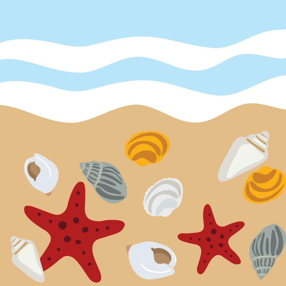 fondo de pantalla de playa con conchas y estrellas de mar. vector