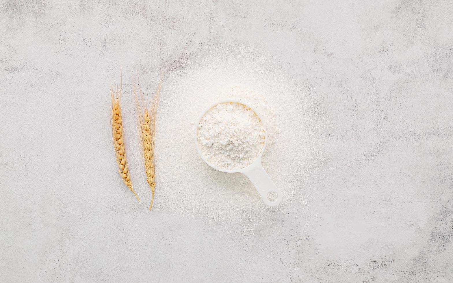 The ingredients for homemade pizza dough with wheat ears ,wheat flour and olive oil set up on white concrete background. top view and copy space. photo