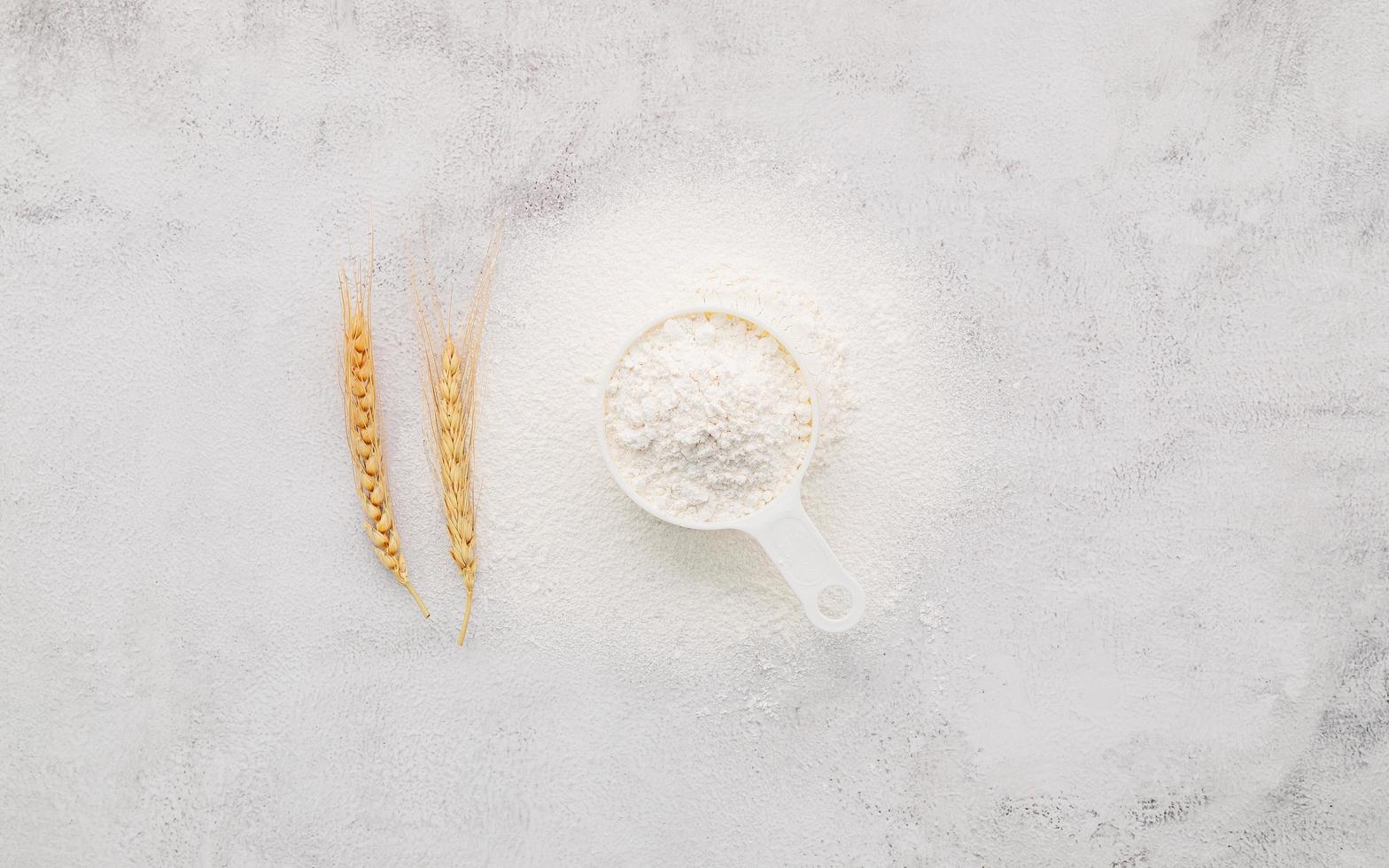 The ingredients for homemade pizza dough with wheat ears ,wheat flour and olive oil set up on white concrete background. top view and copy space. photo