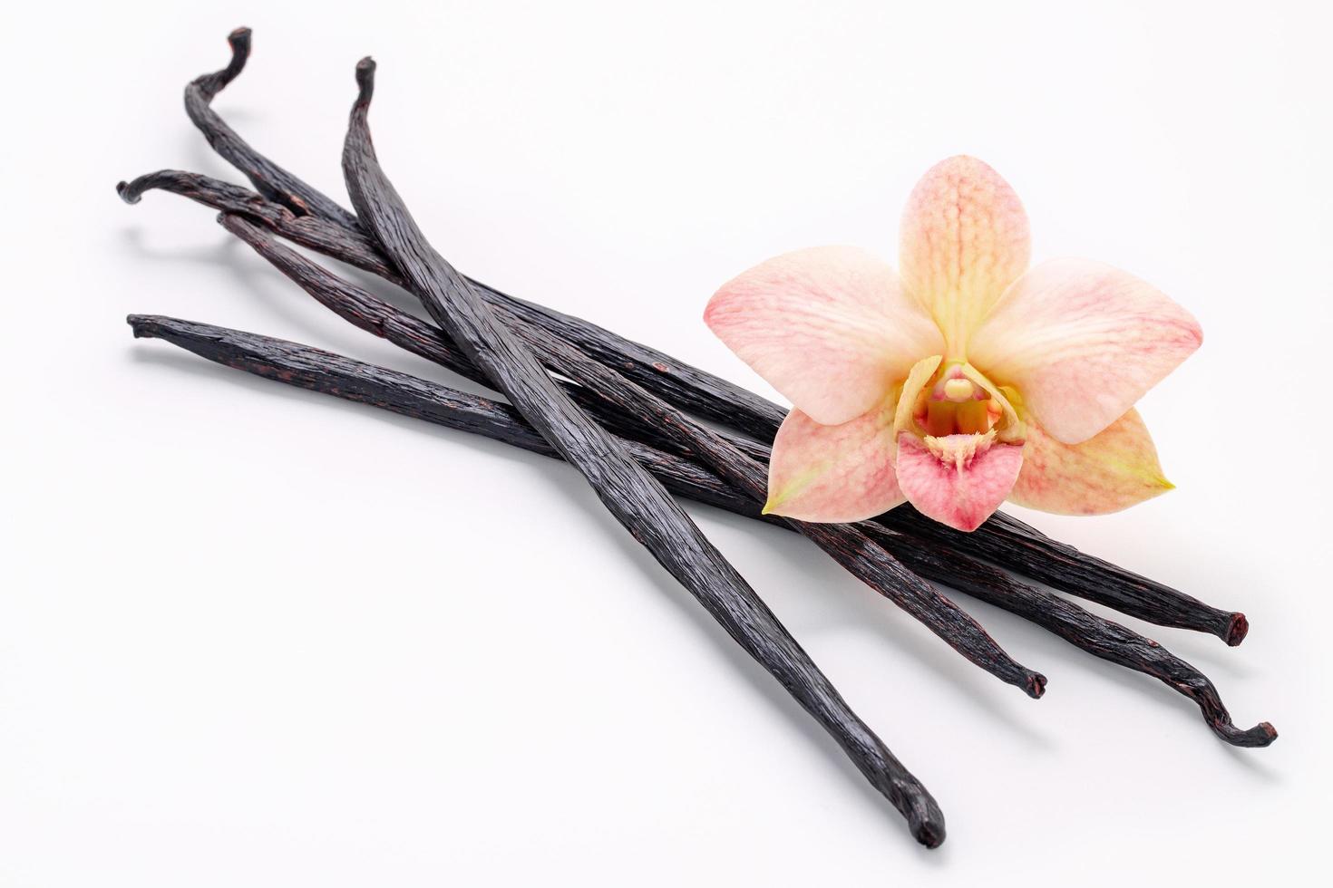 Dried vanilla sticks and orchid flower isolated on white background. photo